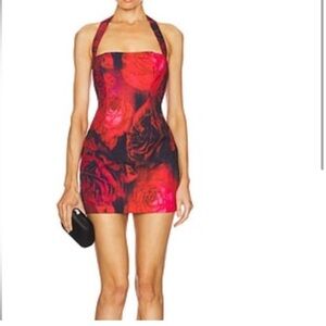 Aralyn Mini Dress in Giovana Print  Runaway The Label